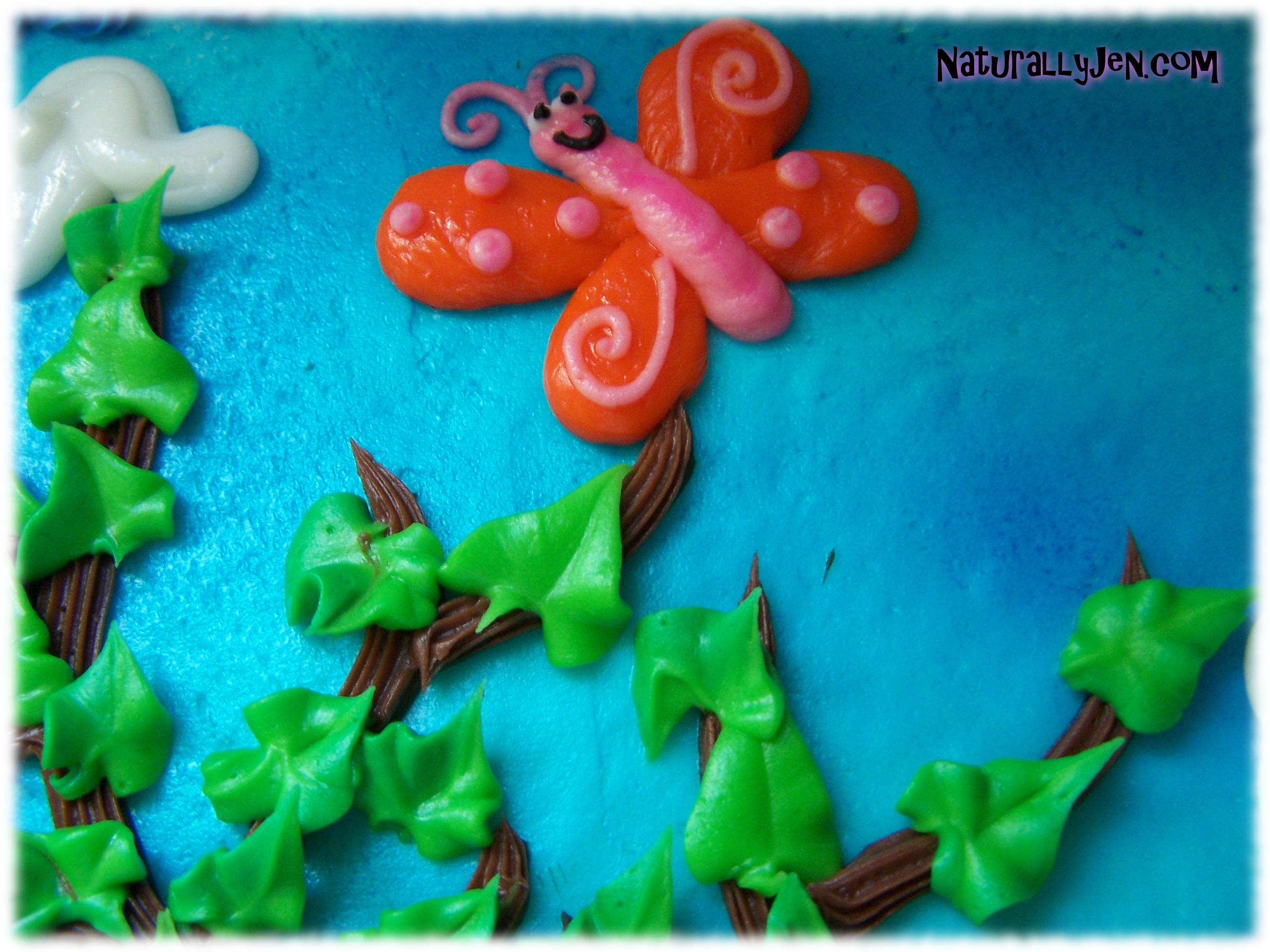 Frosting Butterfly Cake Decorating Design